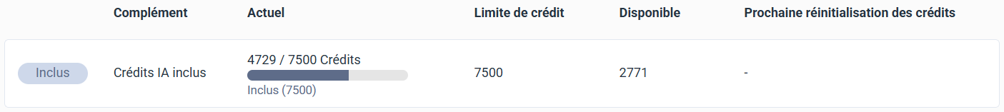 Tableau d'utilisation des crédits IA avec l'étiquette Inclus et aucun crédit supplémentaire souscrit