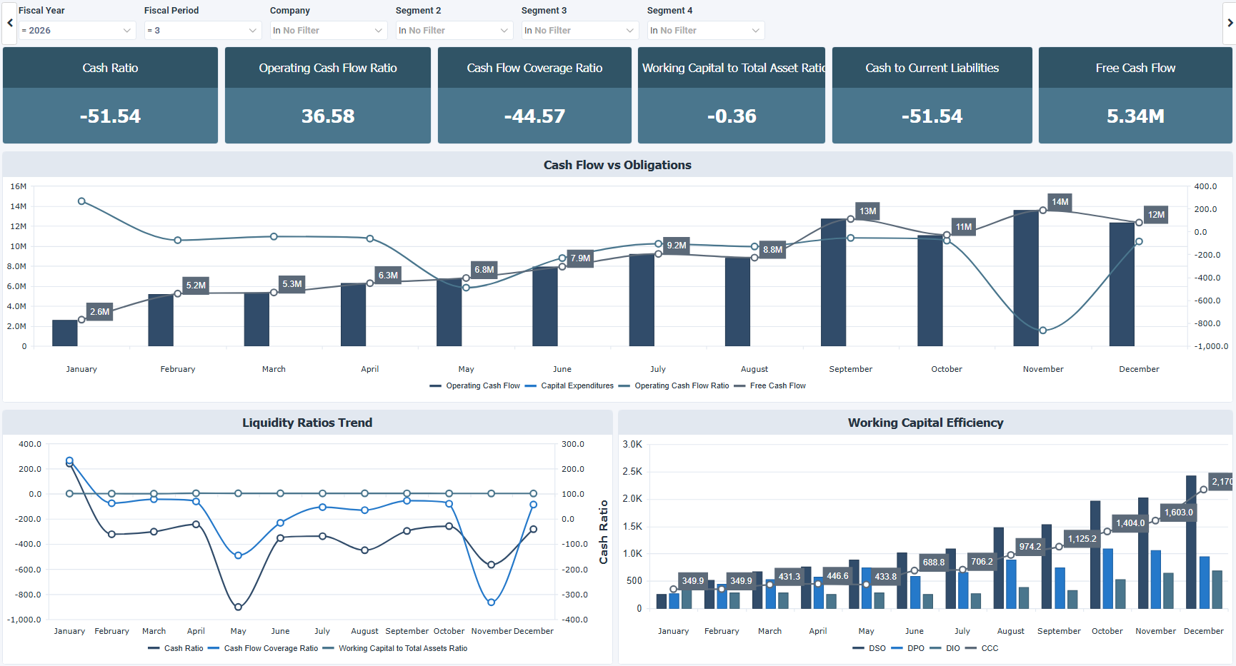 Sage 100 Cash Flow & Burn Analysis Dashboard